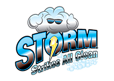 Logo Design Storm Cleaning Household